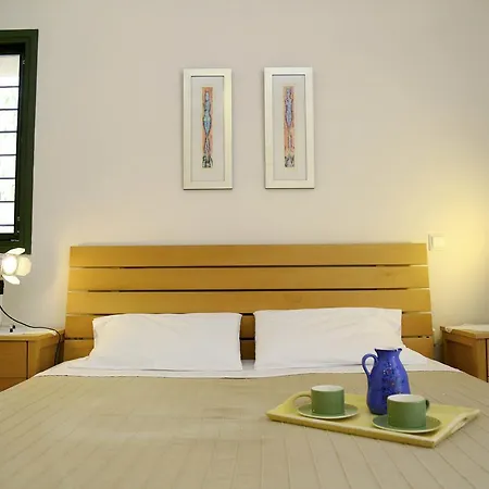 Twin Pine House 펜션 Sani (Chalkidiki)