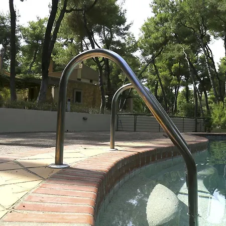 펜션 Twin Pine House Sani (Chalkidiki)