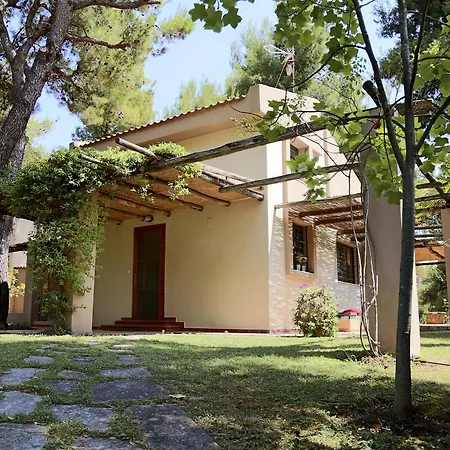 펜션 Twin Pine House Sani (Chalkidiki)