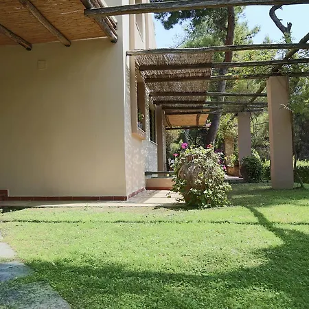 펜션 Twin Pine House Sani (Chalkidiki)