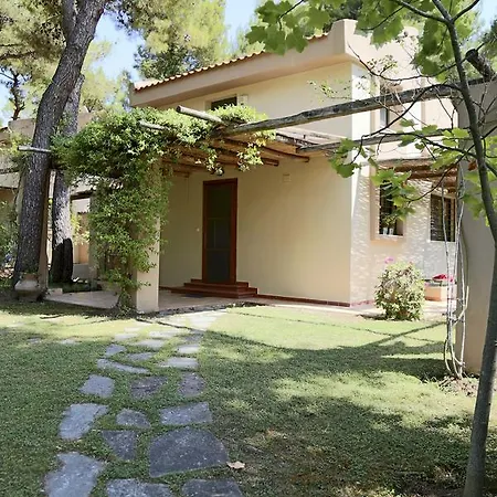 펜션 Twin Pine House Sani (Chalkidiki)